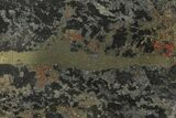Polished, 3.1" Apache Gold (Chalcopyrite) Slab - Arizona - #93804-1